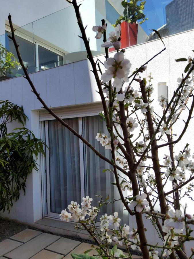 Villa Marjal كوارذامار ذيل سيغورا المظهر الخارجي الصورة